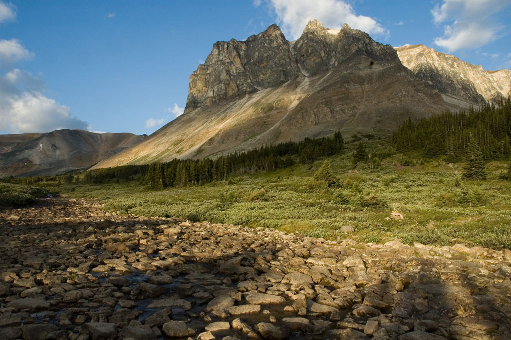 By Sang Trinh - https://www.flickr.com/photos/inottawa/424098715/in/photolist-beg3dx-9TfG83-25Wdgdb-mWXDZ-JyqXbU-27jkZF8-er4tF9-eq8f44-djM4wC-YA5RJK-6HXUzi-9Tk8vY-KFTHLT-s4PYG6-rrmJK-5cwUZS-EUYuE5-Xn8tw7-orqGQA-orfhc9-85ERiK-orspeH-otdddi-57nVE4-rrjD8-Yz7hiP-537Z55-729tcD-5ogo2h-29AXUjZ-29AXBXv-exjyhL-o9XNaE-dgxT6U-o9XxZY-9MWW2k-pFgouU-9VArzf-9Tba1v-5csvYD-oWkprS-Ticoui-5i9SZn-o9XPrD-3u3AkB-DtBLP-beg1oa-27FSEGK-57Rgpj-5csvte, CC BY 2.0, https://commons.wikimedia.org/w/index.php?curid=76300689