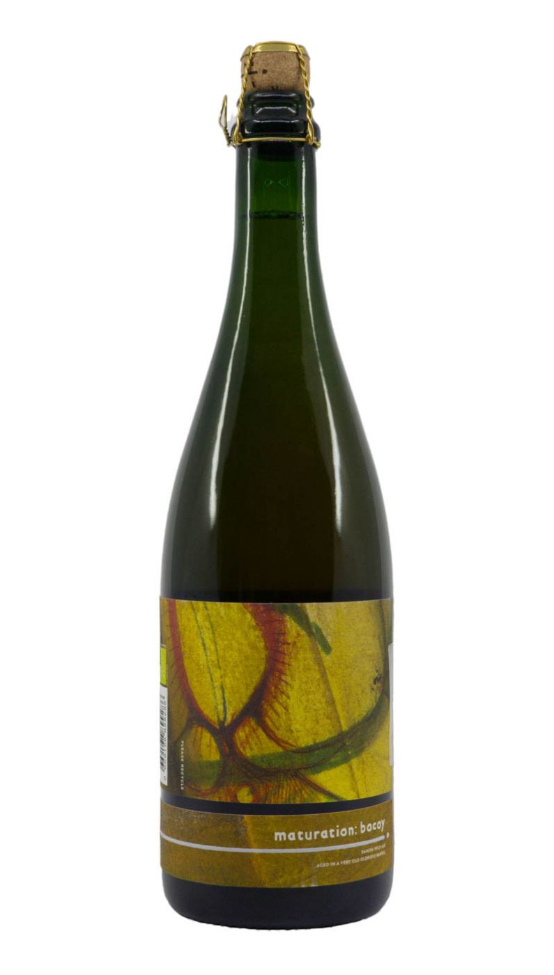 Insight Cellars Maturation Bocoy