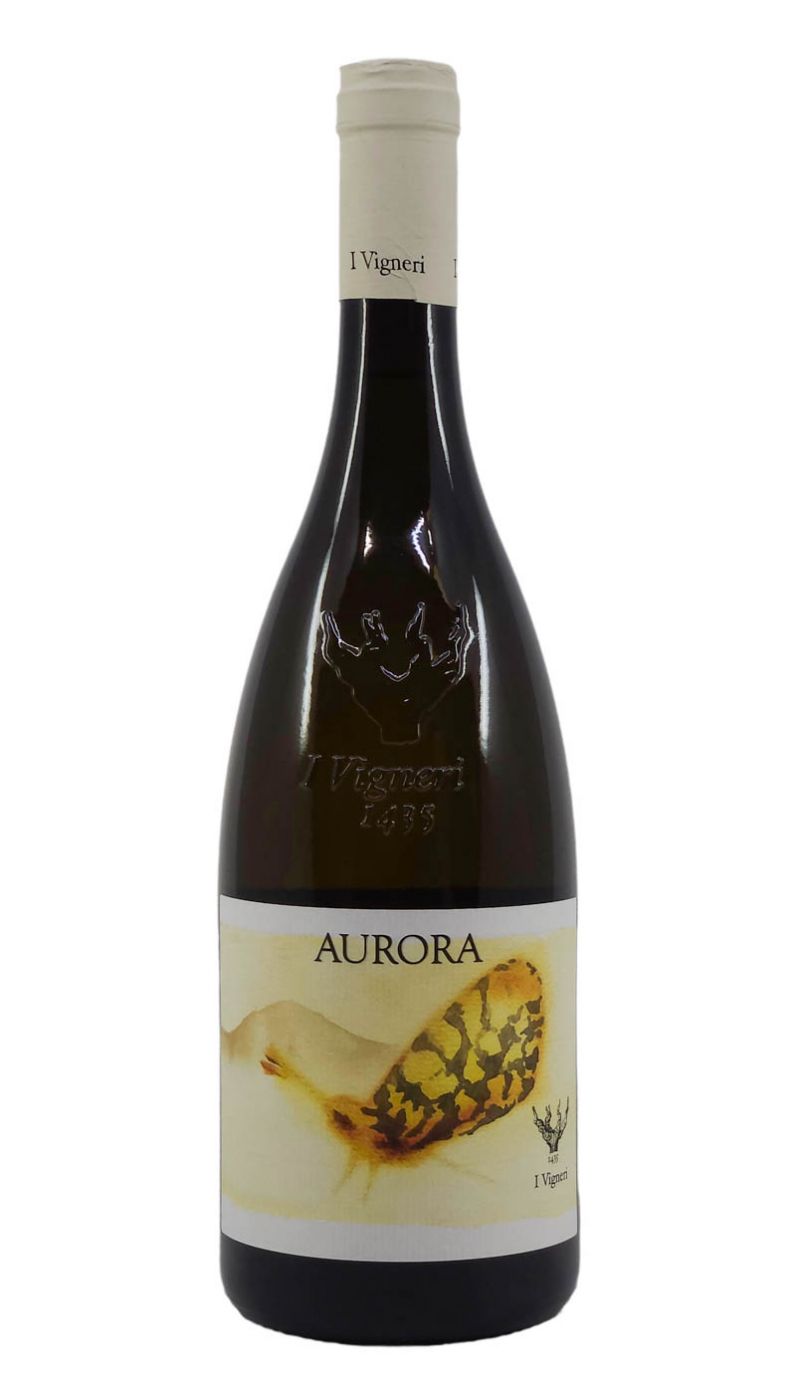 Salvo Foti Aurora