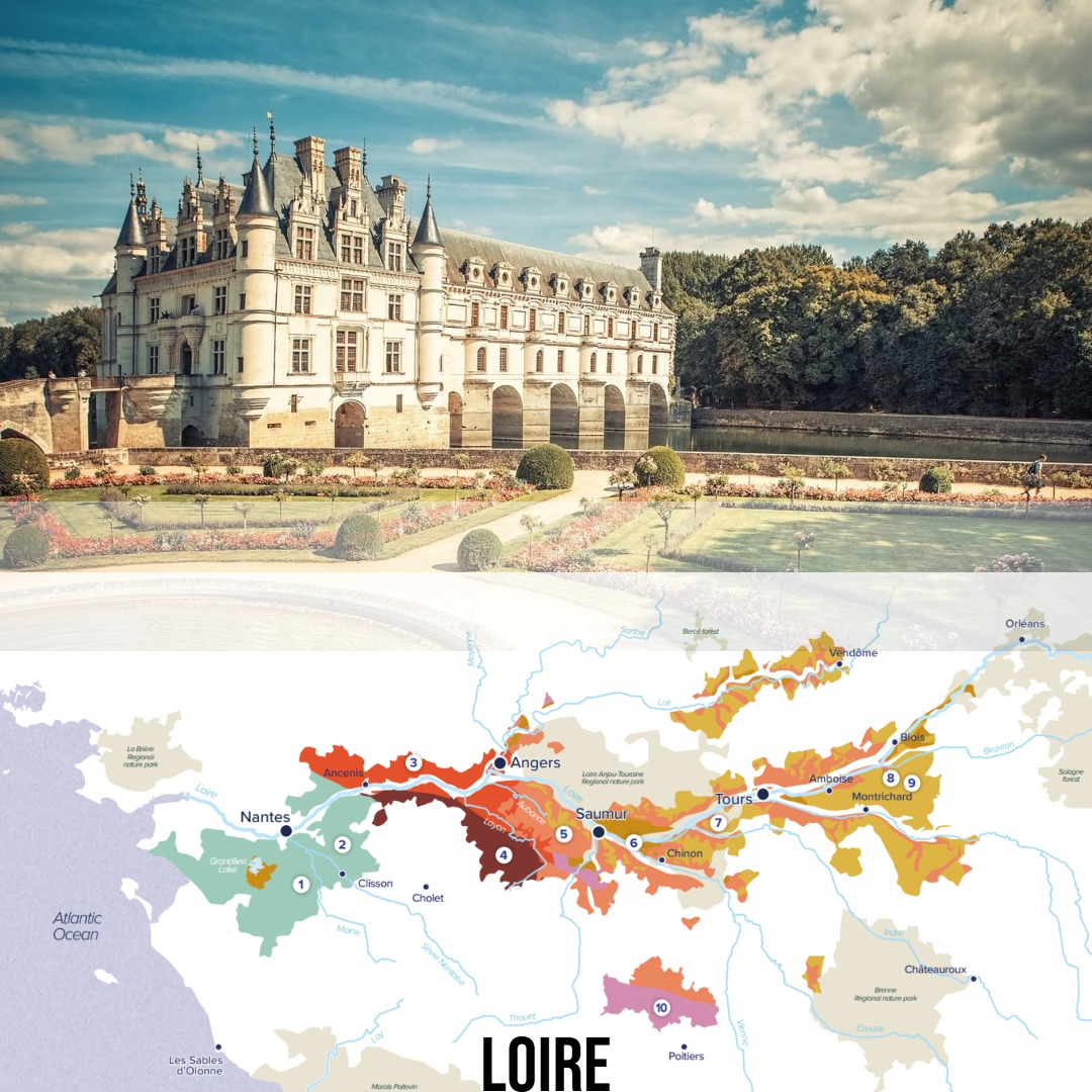 French Wine - The Lure of the Loire