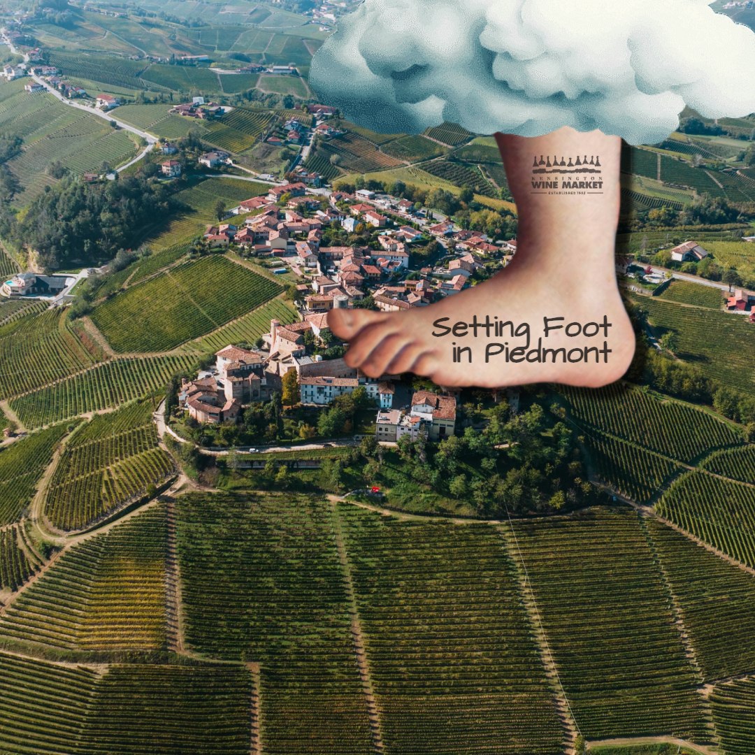 Italian Wine - Setting Foot in Piedmont